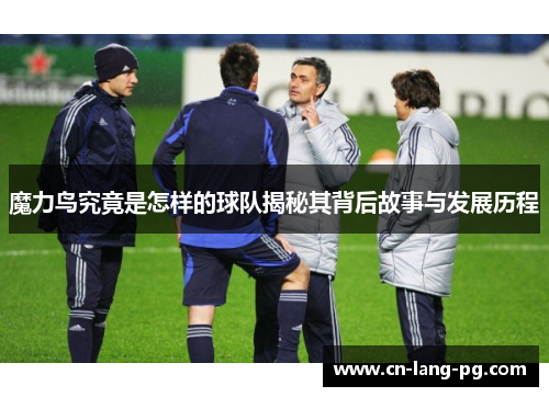 魔力鸟究竟是怎样的球队揭秘其背后故事与发展历程