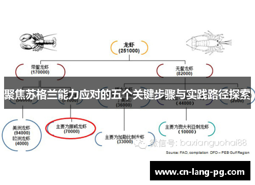 聚焦苏格兰能力应对的五个关键步骤与实践路径探索