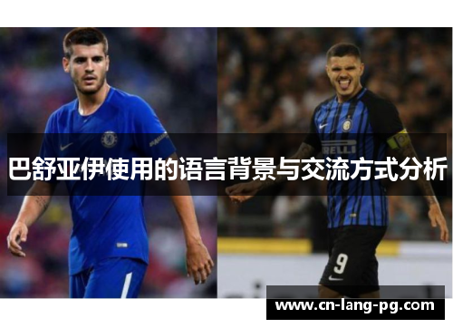 巴舒亚伊使用的语言背景与交流方式分析 巴舒亚伊使用的语言背景与交流方式分析