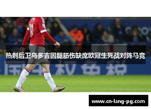 热刺后卫乌多吉因腿筋伤缺席欧冠生死战对阵马竞